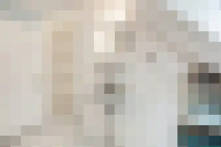 Vlielandlaan 2 Duiven thumbnail 36