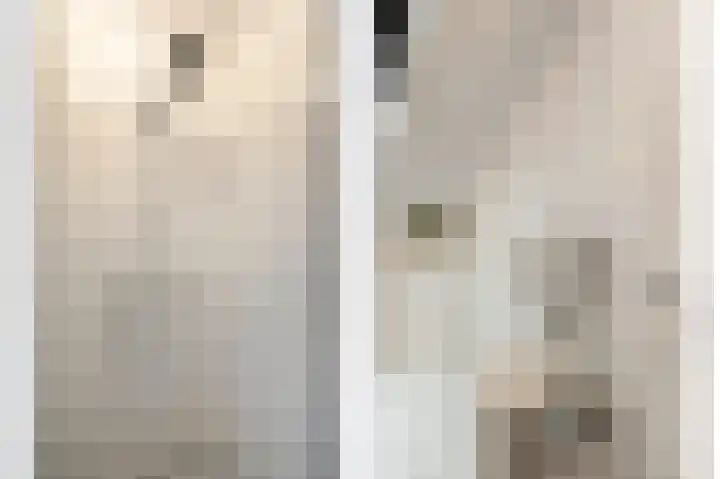 Vlielandlaan 2 Duiven thumbnail 38