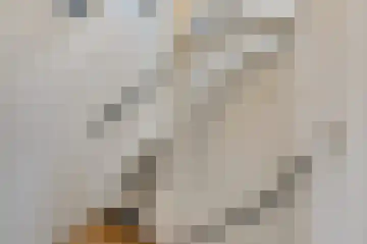Vlielandlaan 2 Duiven thumbnail 39