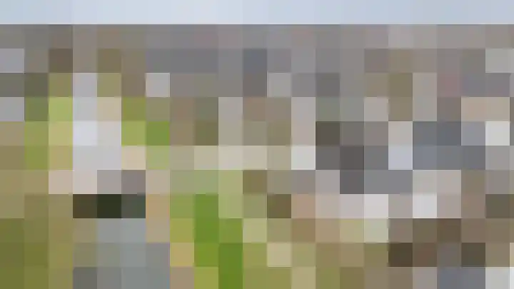 Vlielandlaan 2 Duiven thumbnail 4