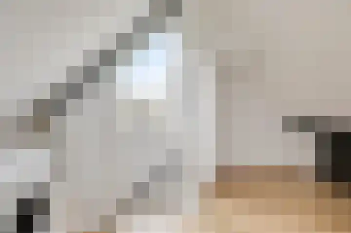Vlielandlaan 2 Duiven thumbnail 42