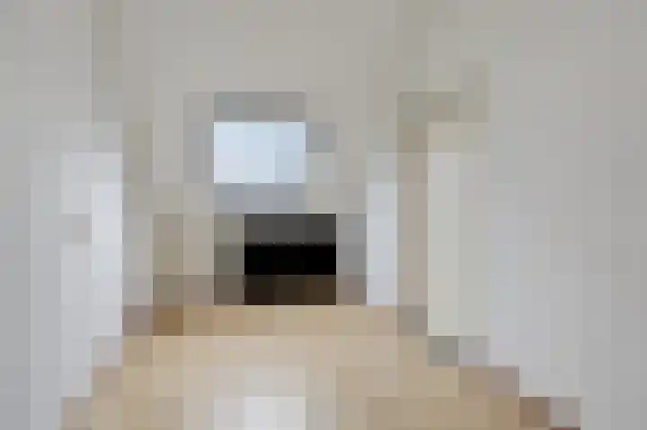 Vlielandlaan 2 Duiven thumbnail 45