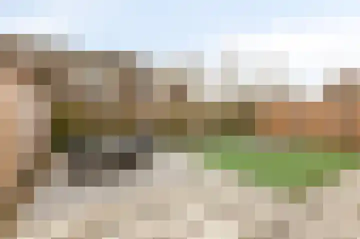 Vlielandlaan 2 Duiven thumbnail 48
