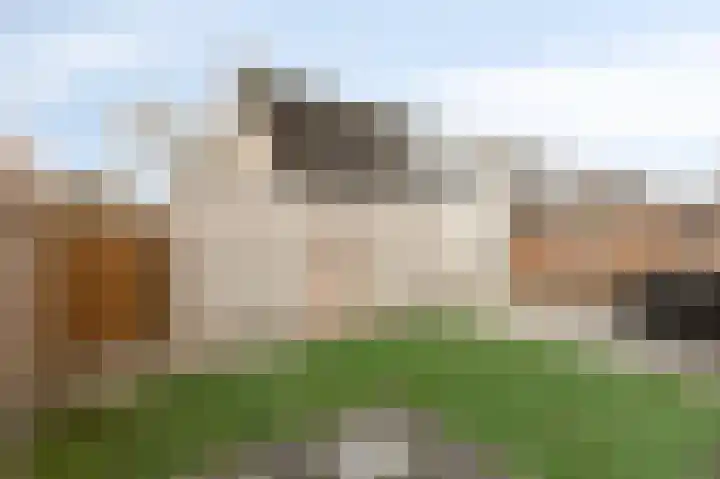 Vlielandlaan 2 Duiven thumbnail 49
