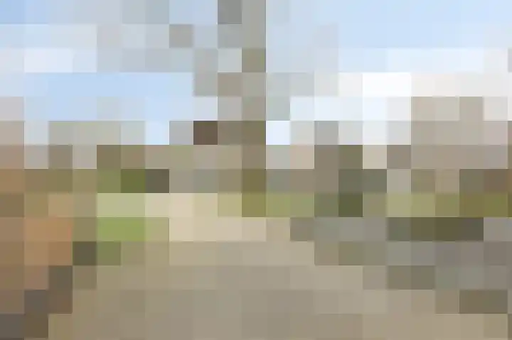Vlielandlaan 2 Duiven thumbnail 52