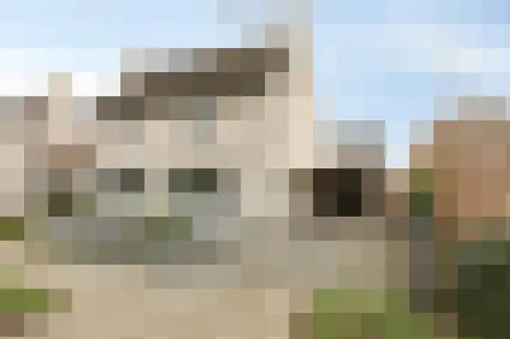 Vlielandlaan 2 Duiven thumbnail 53