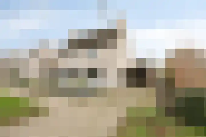 Vlielandlaan 2 Duiven thumbnail 54