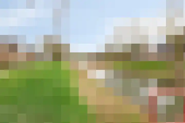 Vlielandlaan 2 Duiven thumbnail 56