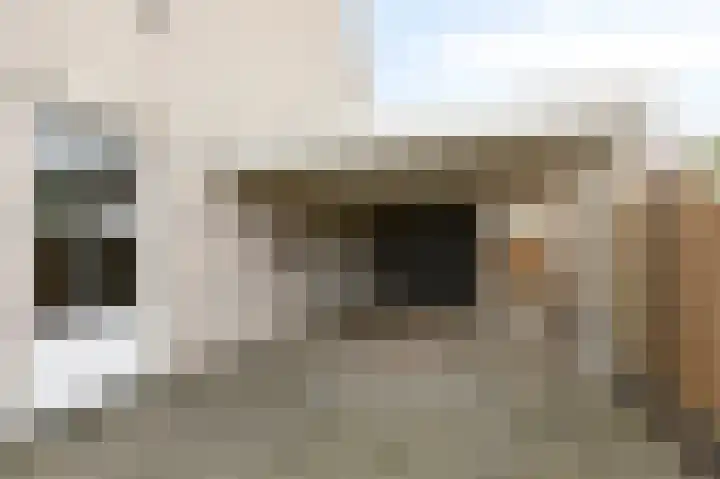 Vlielandlaan 2 Duiven thumbnail 8