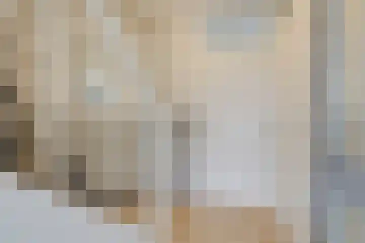 Vlielandlaan 2 Duiven thumbnail 9