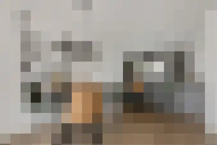 Vlielandlaan 21 Duiven thumbnail 12