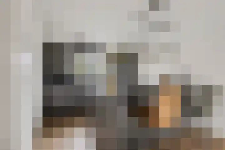 Vlielandlaan 21 Duiven thumbnail 13