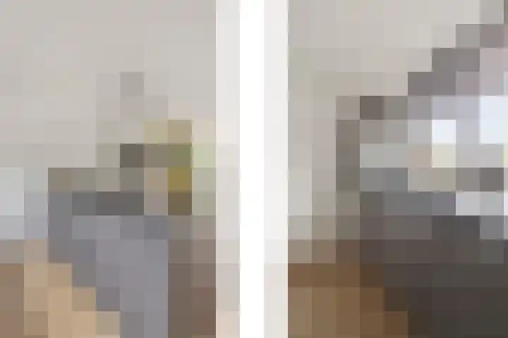 Vlielandlaan 21 Duiven thumbnail 15