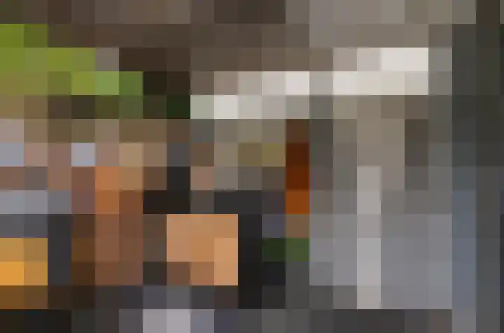 Vlielandlaan 21 Duiven thumbnail 19