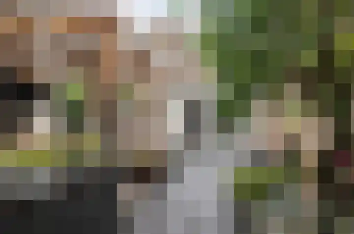 Vlielandlaan 21 Duiven thumbnail 20