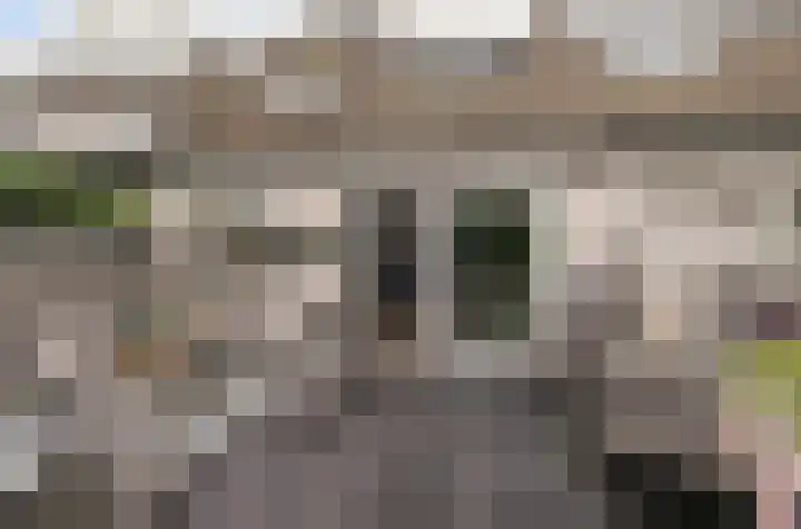 Vlielandlaan 21 Duiven thumbnail 22