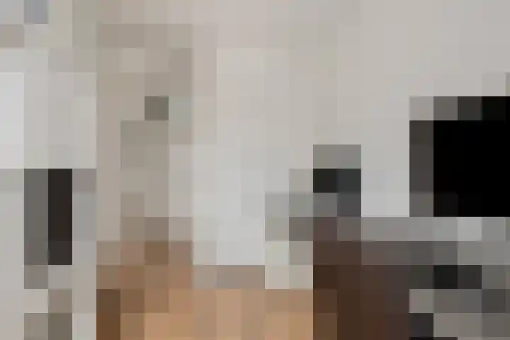 Vlielandlaan 21 Duiven thumbnail 24