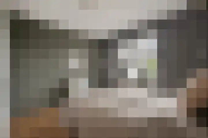 Vlielandlaan 21 Duiven thumbnail 28