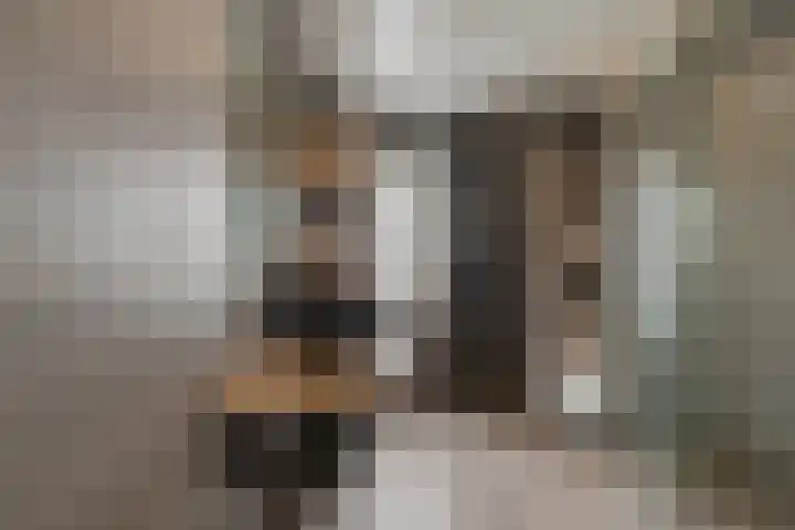 Vlielandlaan 21 Duiven thumbnail 29