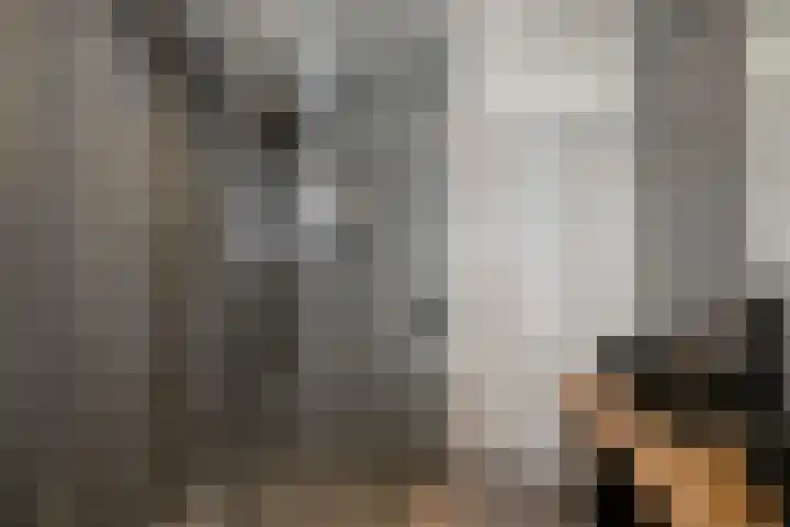 Vlielandlaan 21 Duiven thumbnail 31