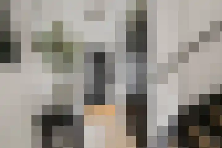 Vlielandlaan 21 Duiven thumbnail 7