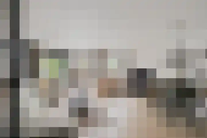 Vlielandlaan 21 Duiven thumbnail 9