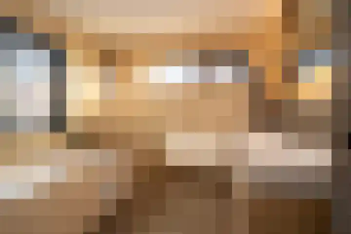 Vlielandlaan 26 Enschede thumbnail 34