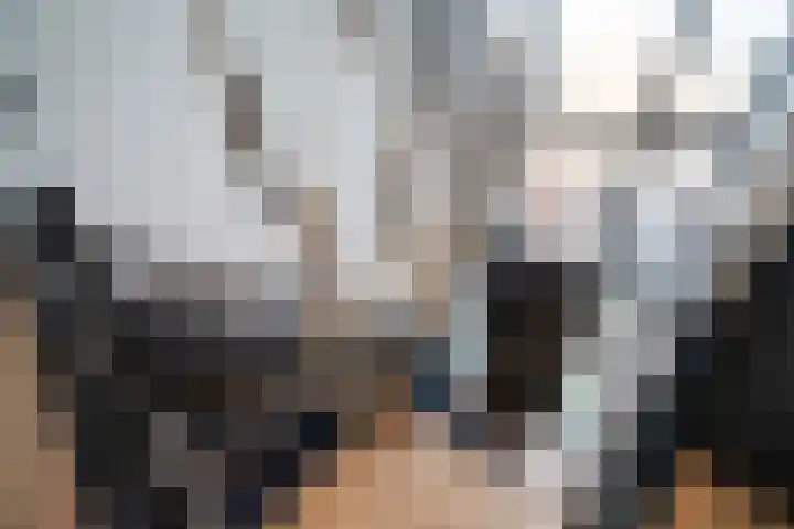 Vlielandlaan 26 Enschede thumbnail 37