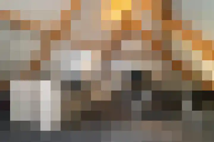 Vlielandlaan 26 Enschede thumbnail 39