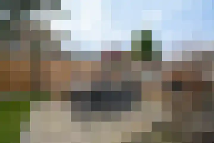 Vlielandlaan 26 Enschede thumbnail 47