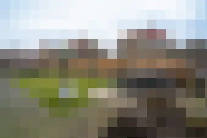 Vlielandlaan 26 Enschede thumbnail 48
