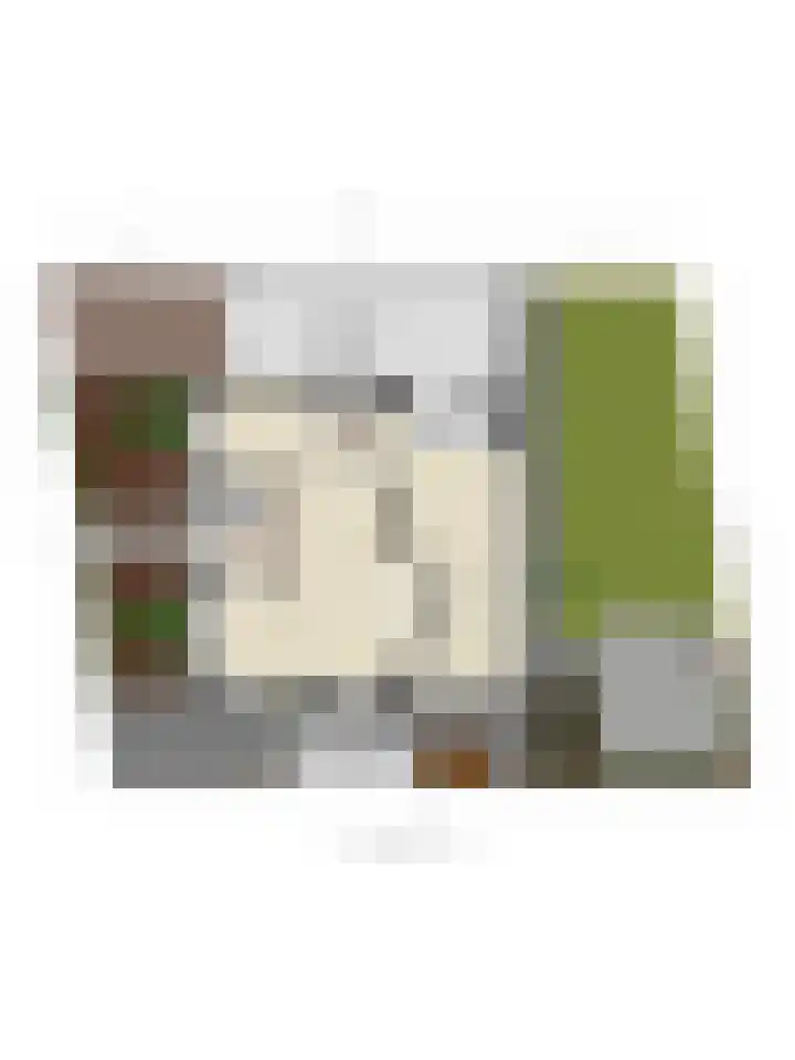 Vlielandlaan 26 Enschede thumbnail 59
