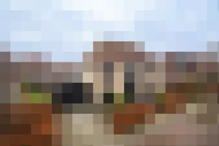 Vlielandlaan 26 Enschede thumbnail 6