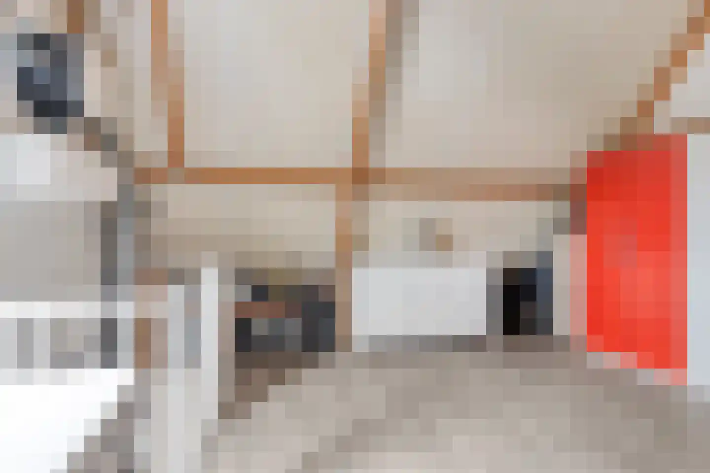Vlielandlaan 93 Duiven thumbnail 30