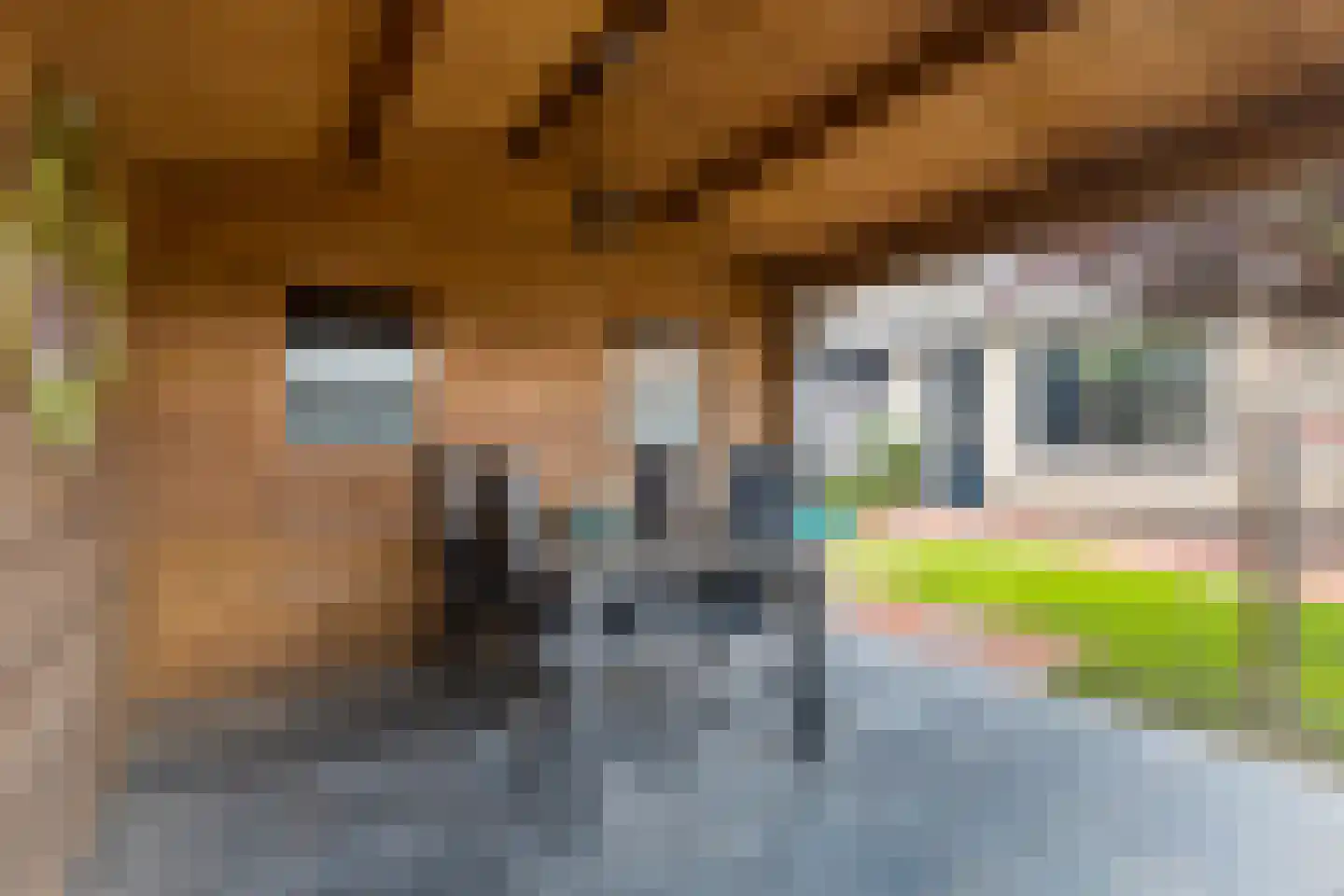 Vlielandlaan 93 Duiven thumbnail 35