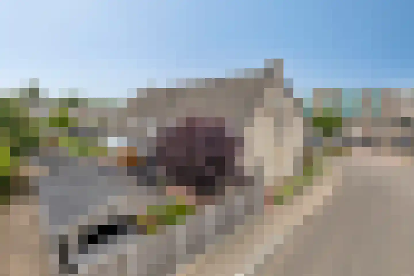 Vlielandlaan 93 Duiven thumbnail 37