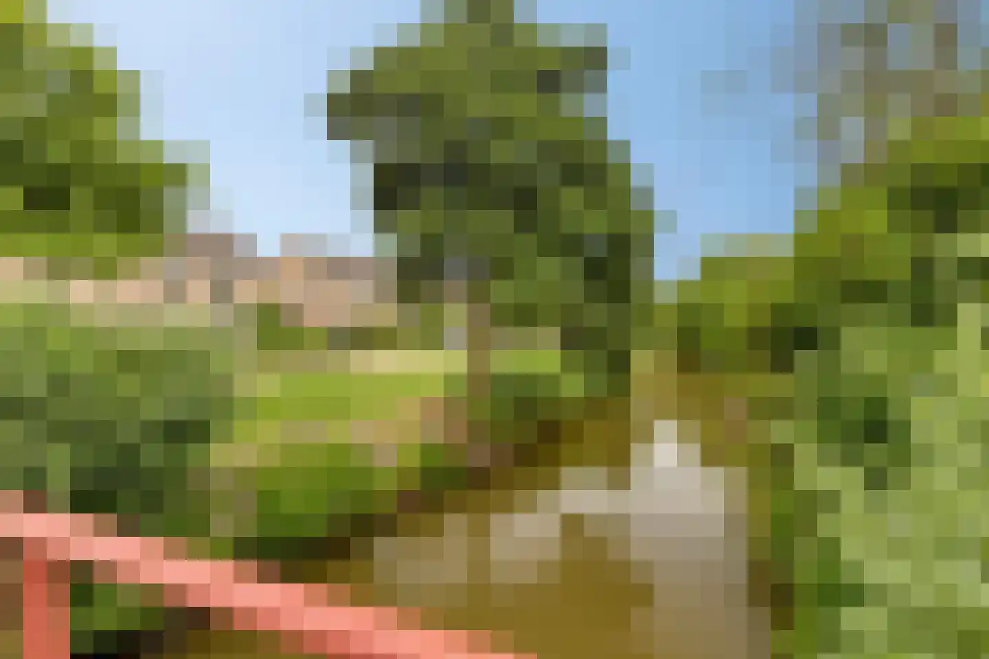 Vlielandlaan 93 Duiven thumbnail 40