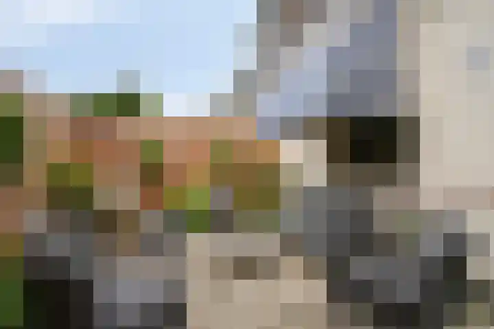 Vlielandseweg 117 Pijnacker thumbnail 21