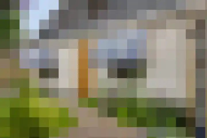 Vlielandseweg 117 Pijnacker thumbnail 26
