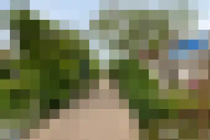 Vlielandseweg 117 Pijnacker thumbnail 31