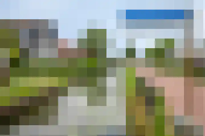 Vlielandseweg 117 Pijnacker thumbnail 32