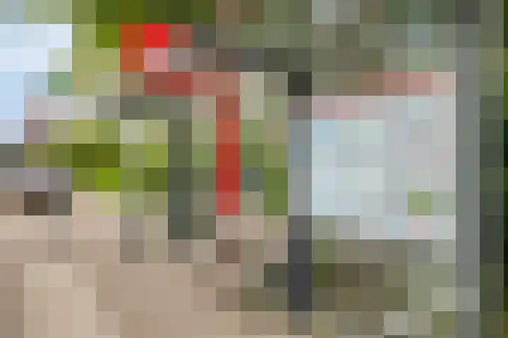 Vlielandseweg 117 Pijnacker thumbnail 34