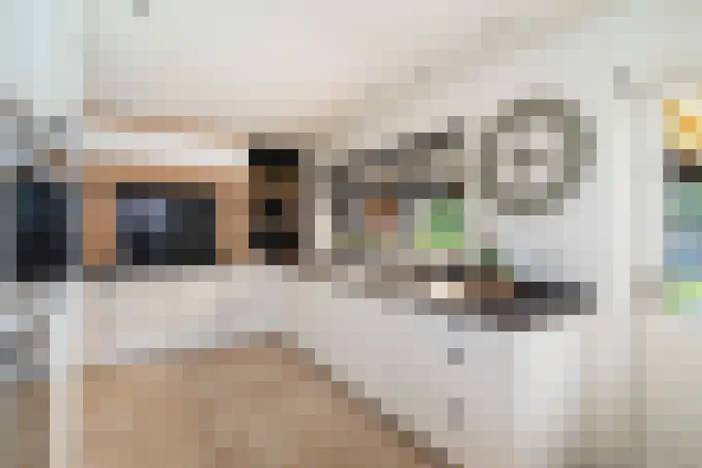 Vlielandseweg 6 d Pijnacker thumbnail 10