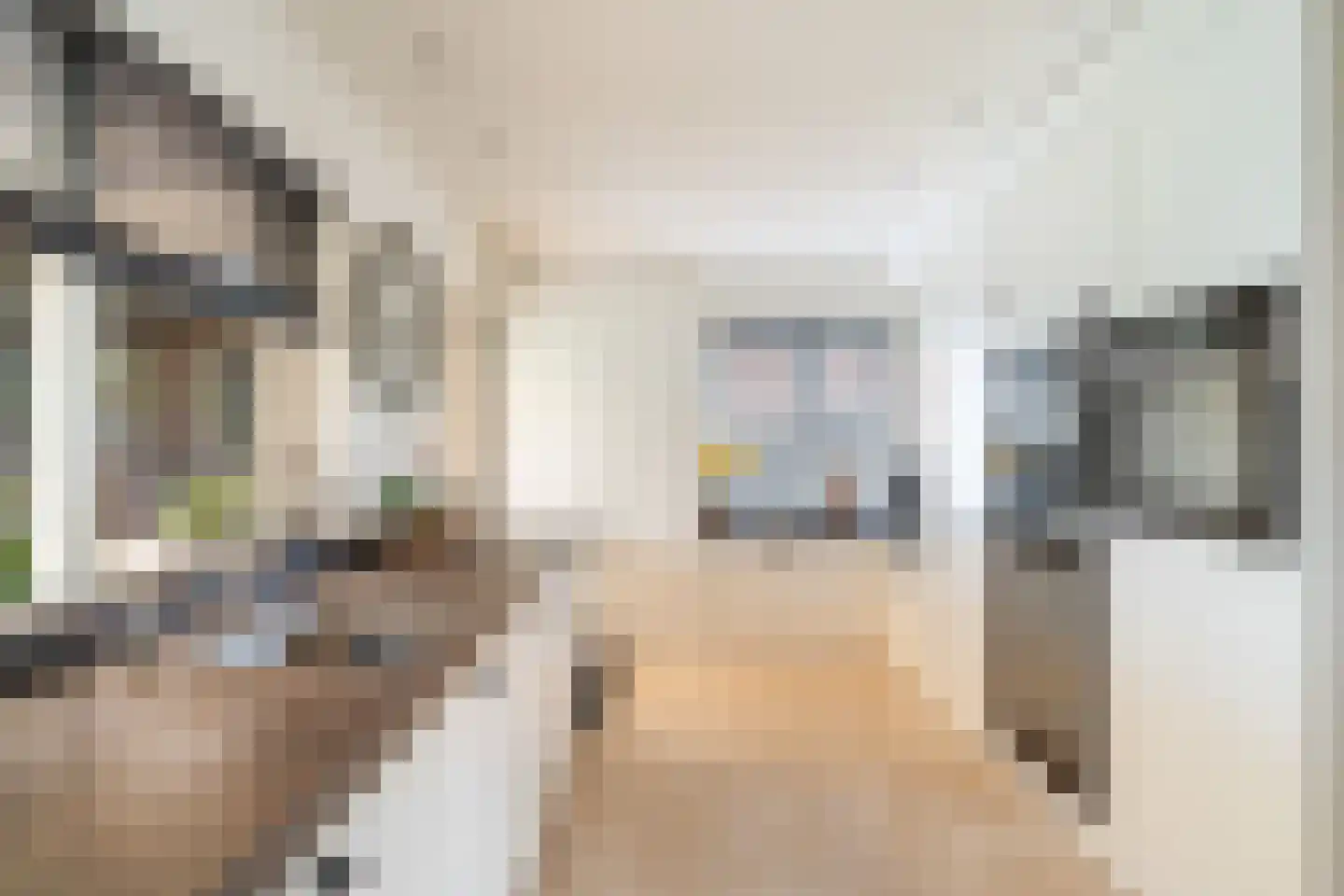 Vlielandseweg 6 d Pijnacker thumbnail 11