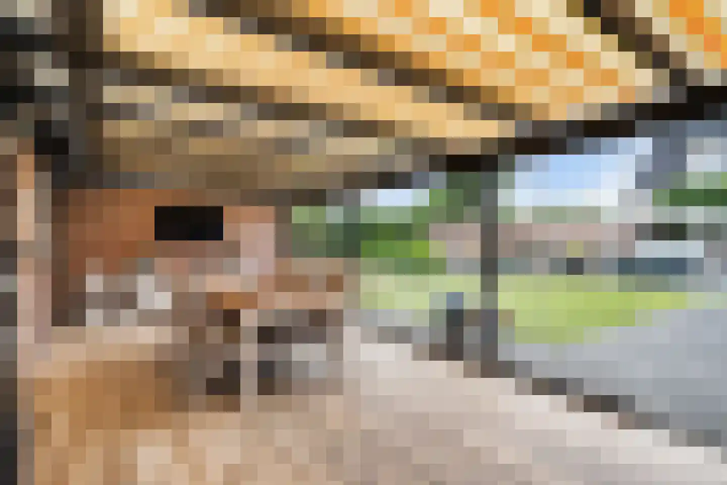 Vlielandseweg 6 d Pijnacker thumbnail 15