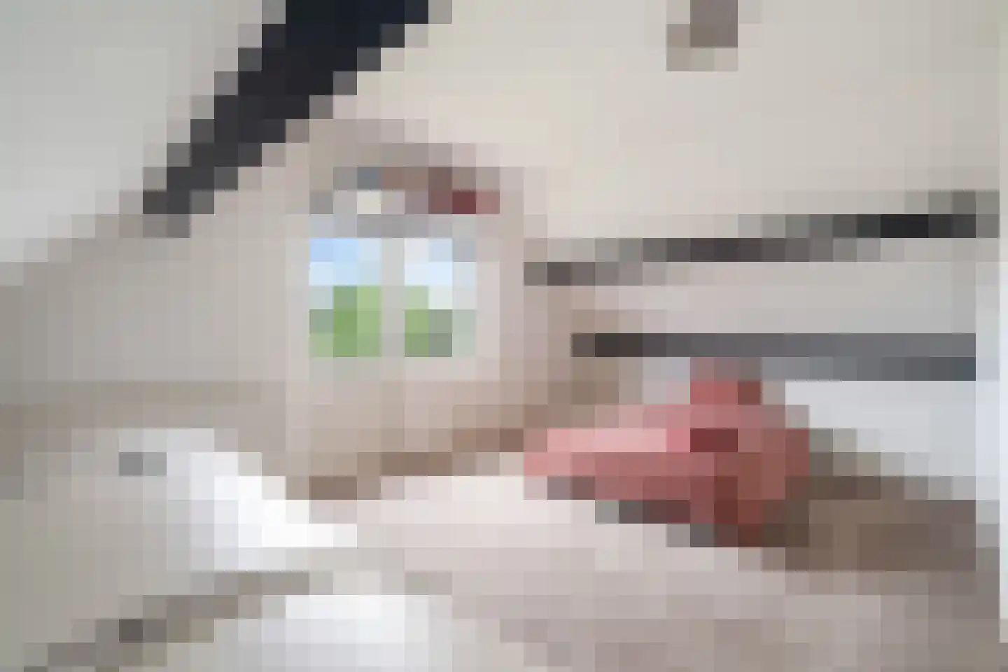 Vlielandseweg 6 d Pijnacker thumbnail 19
