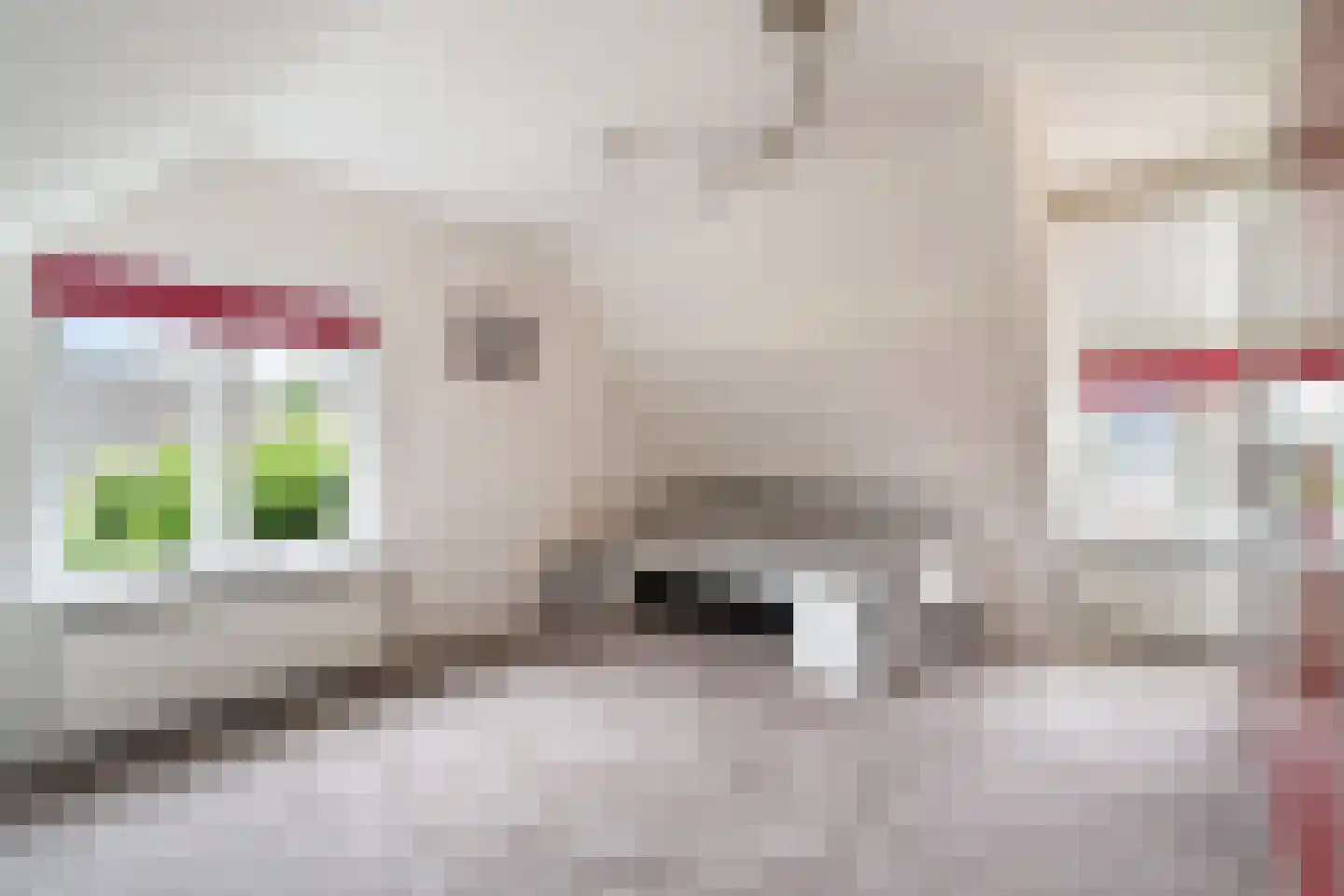 Vlielandseweg 6 d Pijnacker thumbnail 22