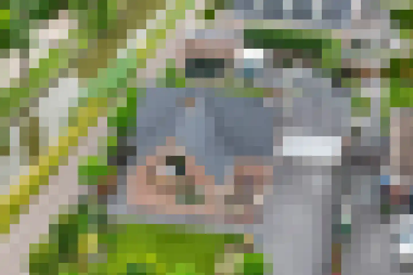 Vlielandseweg 6 d Pijnacker thumbnail 33