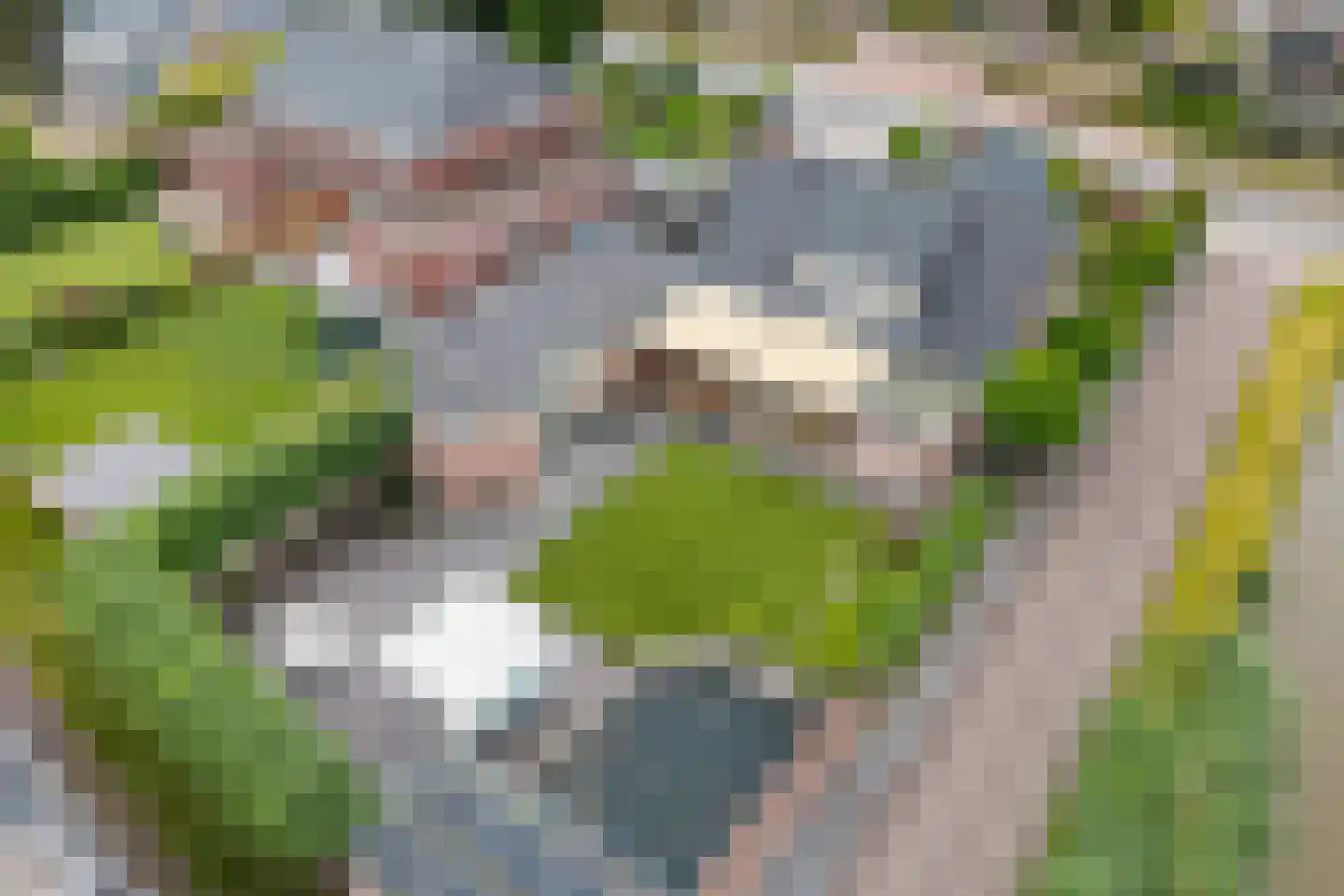 Vlielandseweg 6 d Pijnacker thumbnail 36