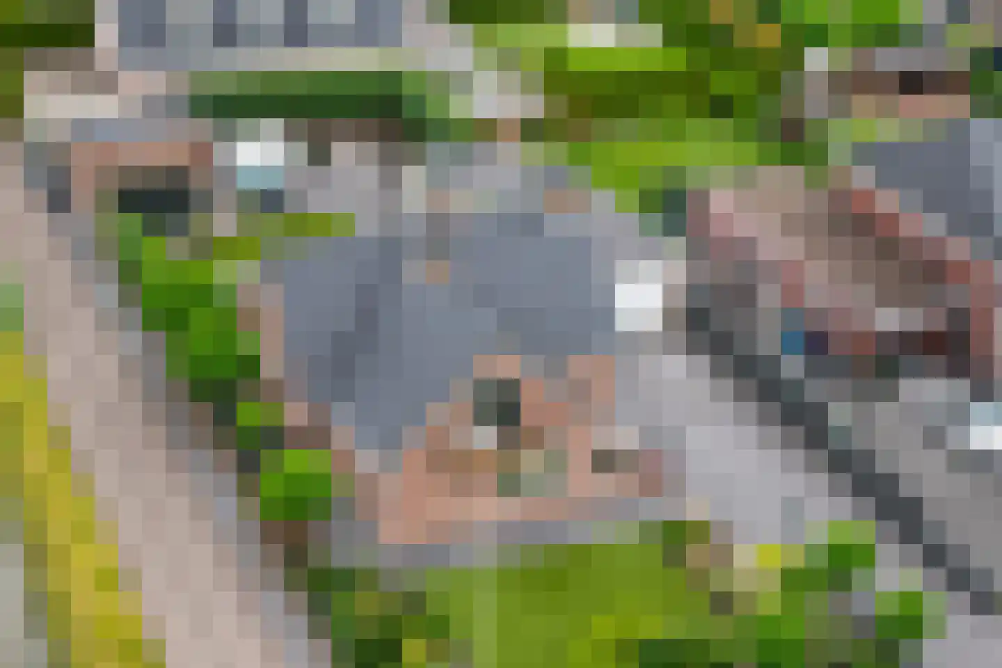 Vlielandseweg 6 d Pijnacker thumbnail 4